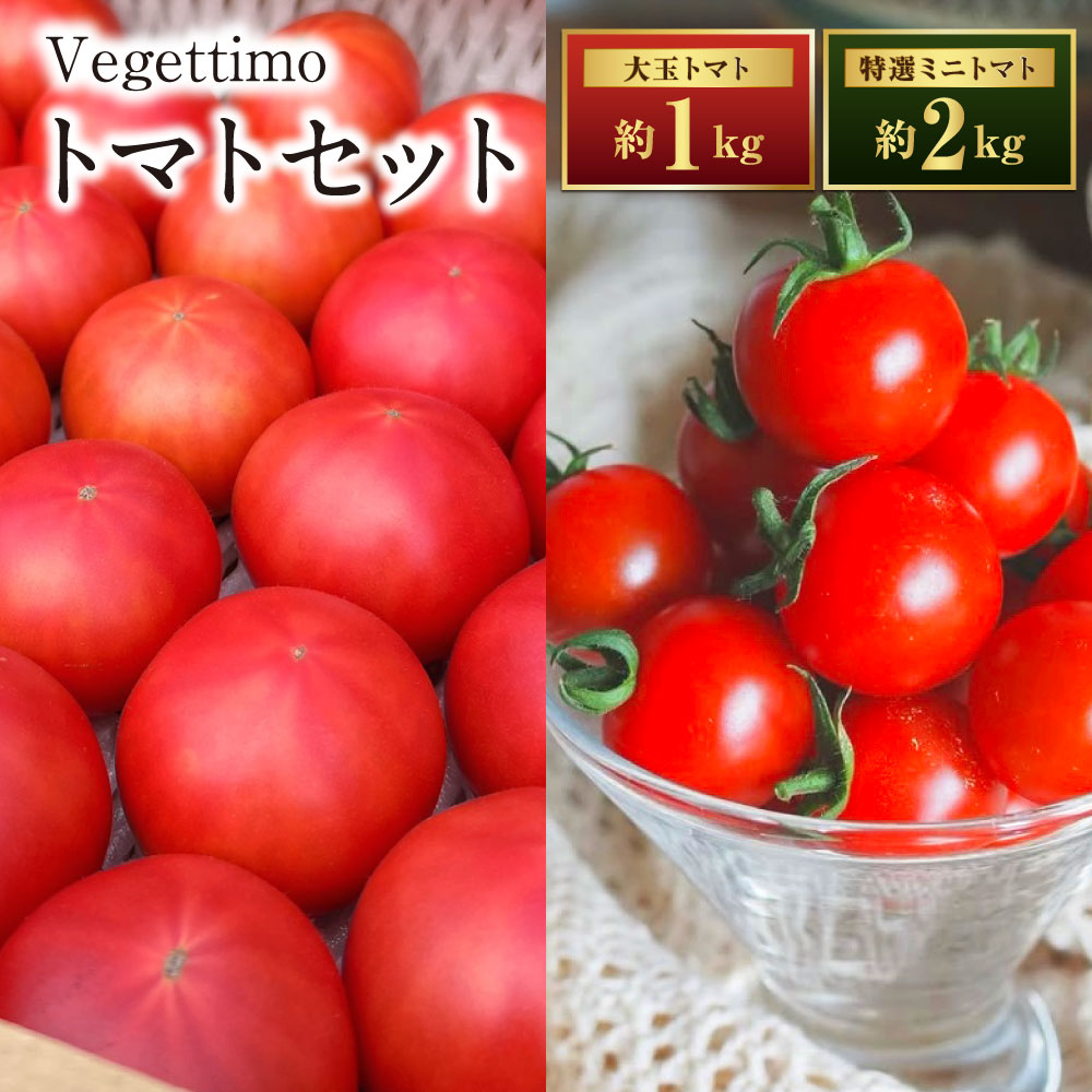 【ふるさと納税】Vegettimoトマトセット 大玉トマト1kg ＋ 特選ミニトマト2kg (熊本県産) 【2026年1月下旬発送開始】 トマト とまと ミニトマト 野菜 やさい リコピン 食品 セット 九州 熊本県 熊本 常温 送料無料