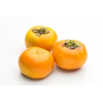 ふるさと納税 山鹿市 太秋柿 約3kg【日本フルーツ株式会社】(山鹿市) |  | 01