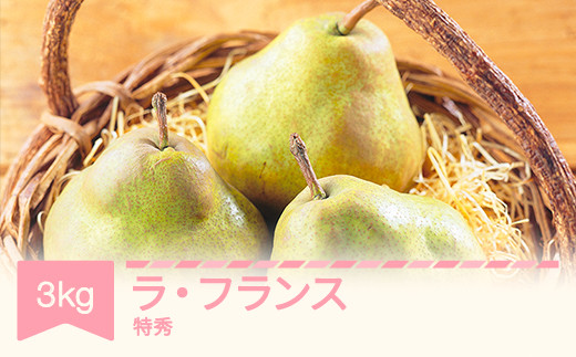 【先行予約】ラ・フランス 洋梨 ラフランス 3kg 特秀品 贈答 令和8年産 2026年産 果物 mm-latsx3