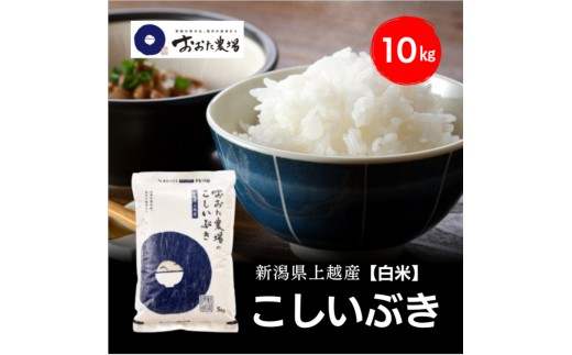令和8年産 新潟県上越産 こしいぶき 10kg 10キロ（5kg×2）【白米】 新米 おおた農場 上越市