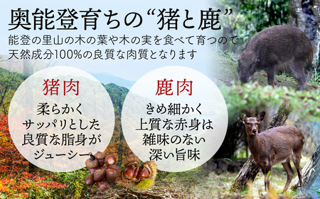 能登・穴水産 天然 猪肩ロース ＆ 鹿モモブロック 各500g 計1kg | ジビエ 冷凍