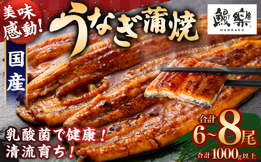 極上鰻！うまい！＜うなぎ 国産 うなぎ蒲焼 6～8尾 計1kg以上＞ふるさと納税 うなぎ 高級 長蒲焼 鰻 夏バテ防止 ウナギ 鰻 かば焼き 蒲焼き 丑の日 タレ 宮崎県産 国産 九州産 宮崎県 高鍋町 送料無料