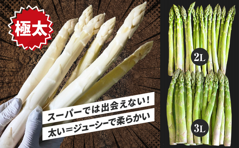 【令和8年産】 〔メディア掲載されました〕 グリーン アスパラガス 3L 400g 春アスパラ 野菜 旬 新鮮 産地直送 甘い 極太 お取り寄せ グルメ 高評価 限定 北海道 上富良野産