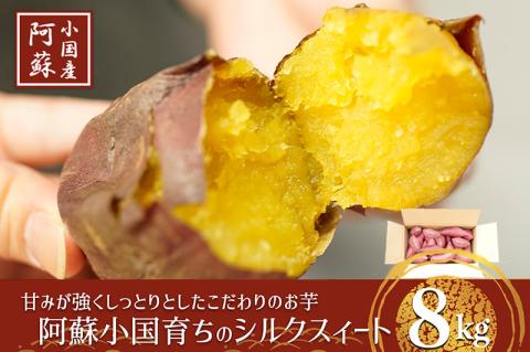 【阿蘇小国産】下巣畑農産の『小国シルクスイート』8kg