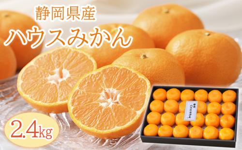 【2026年6月下旬より順次発送】静岡県浜松市産ハウスみかん2.4kg