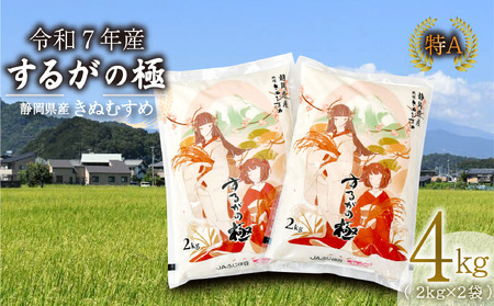 きぬむすめ 4kg 2kg × 2袋 令和7年 するがの極 米 コメ こめ ラブライブ 長泉