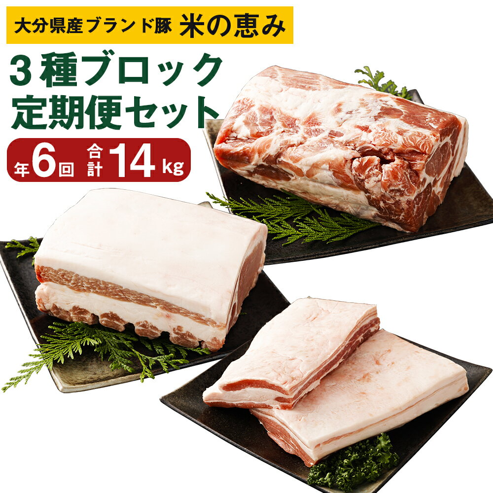 【ふるさと納税】【6回定期便】大分県産ブランド豚 奥豊後豚（米の恵み）3種ブロック食べ比べ 合計14.0kg 肉 豚 豚肉 国産 定期便 ロース 肩ロース ブロック肉 塊 角煮 チャーシュー とんかつ トンテキ BBQ キャンプ 冷凍 大分県 竹田市 送料無料