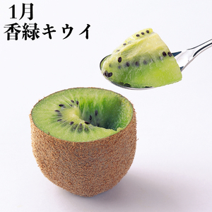 果物を贅沢に味わう 丸亀のフルーツ定期便 全6回 キウイ いちご 不知火 桃 シャインマスカット みかん さぬきひめ さぬき紅みかん 香緑 香川県 丸亀市