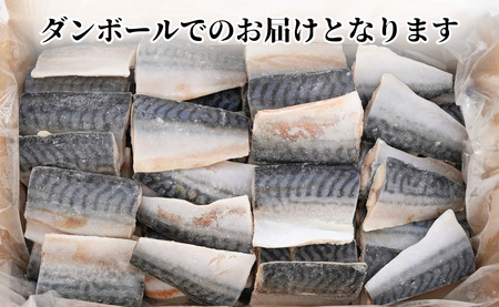 訳あり 塩サバ 腹骨取り 切身 約3.5kg 【 さば 】 カネジョウ大崎