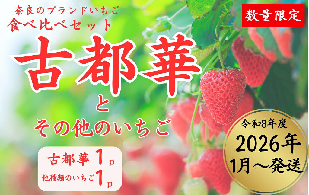 【ふるさと納税】奈良のブランドいちご2種（古都華と他1種）食べくらべセット (他1種は、かおりの・珠姫・奈乃華・ならあかり・あすかルビーからいずれか) いちご 苺 イチゴ 奈良県認証 めいとく農園 奈良県 奈良市 奈良 なら 7-192