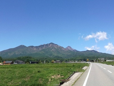 果実と粗糖のみでつくったブルーベリー飲む酢　200ml×3本 ４倍濃縮 ビネガー 果実酢 フルーツ 酢 ドリンク 濃縮 ハイブッシュブルーベリー 熟成 まろやか 果実丸ごと ドレッシング 隠し味 添加