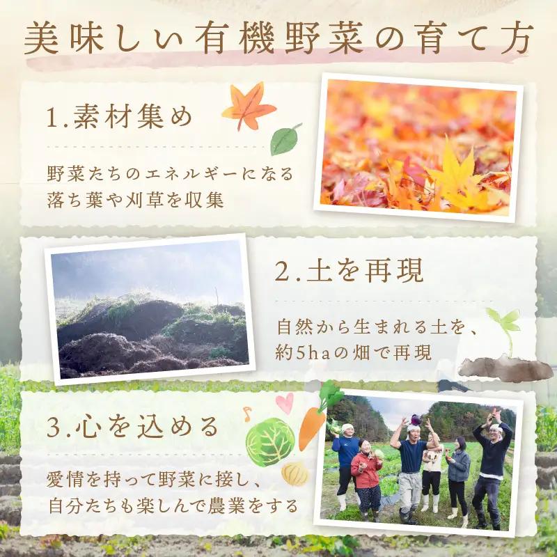 【6回定期便】＜てんとうむしばたけ＞オーガニック野菜セット　有機野菜6～7種(2人用) 京都直送 野菜 詰め合わせ 野菜セット 国産 京都産 ふるさと納税 野菜