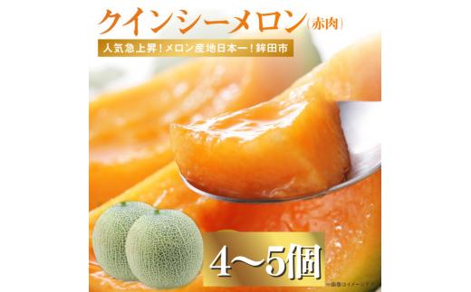 赤肉が美味しい！クインシーメロン(4～5個入）