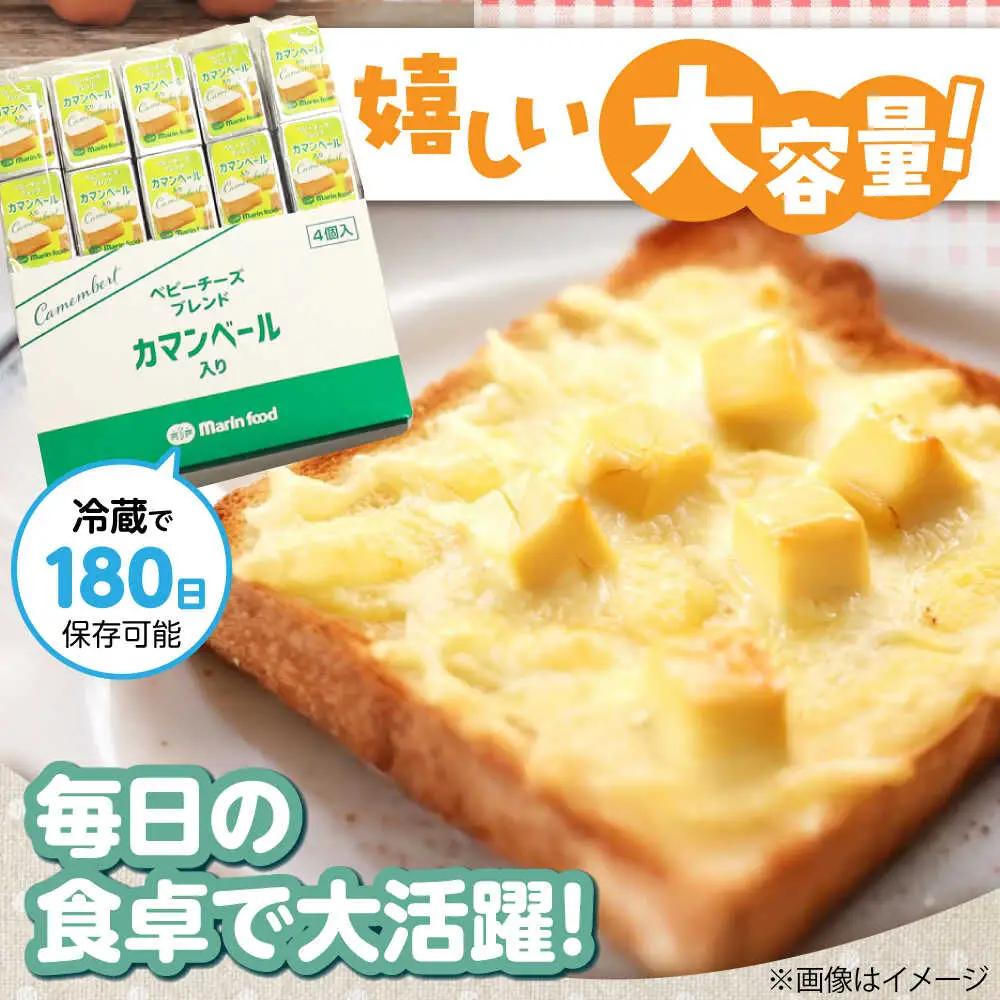 ベビーチーズブレンド カマンベール100個[AQCM006] チーズ ベビーチーズ