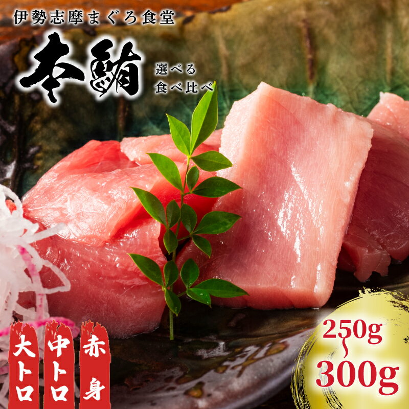 【ふるさと納税】 本マグロ 刺身 柵 選べる内容 伊勢志摩まぐろ食堂 / 本まぐろ 本鮪 専門店 食べ比べ マグロ 鮪 刺し身 お刺身 三重県 伊勢志摩 南伊勢町 1万円台 2万円以下