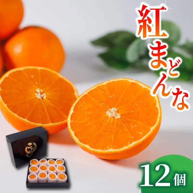  紅まどんな Mサイズ 12個　紅まどんな【FA108】