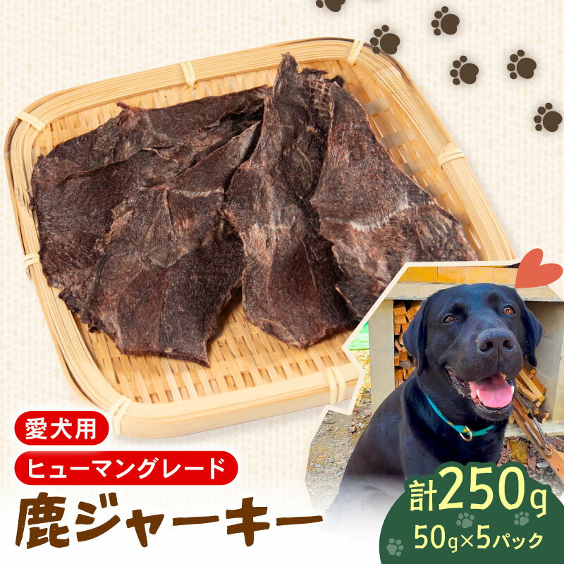 【ふるさと納税】 ペットフード シカ の ジャーキー 50g × 5 袋 セット ドックフード ペット 犬 いぬ イヌ わんちゃん ワンちゃん用 愛犬 小型犬 中型犬 大型犬 高タンパク 高たんぱく 低脂肪 低カロリー 鹿肉 動物 餌 エサ おやつ 乾物 ごはん ご褒美 滋賀県 日野町