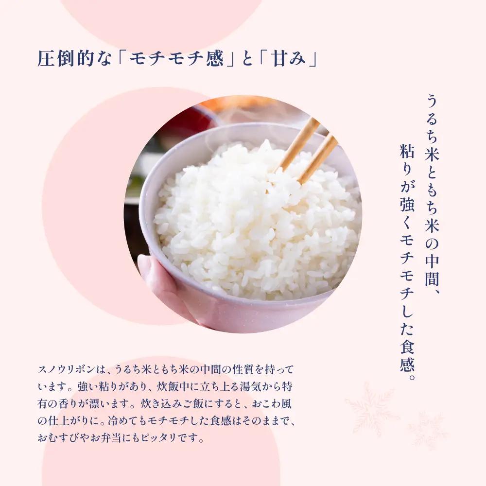 【2025年産米】スノウリボン（ゆきむすび）5kg×1袋【13-53】