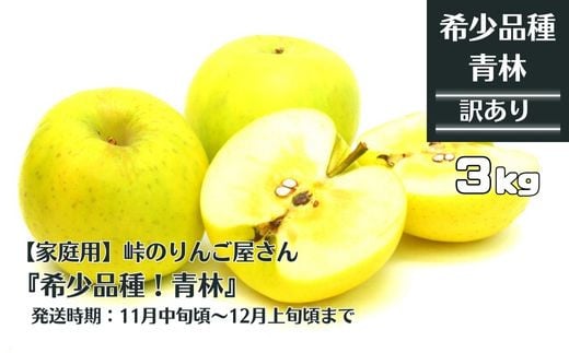 【先行予約】【家庭用】峠のりんご屋さん『希少品種！ 青林』3kg（10～12 玉入り）