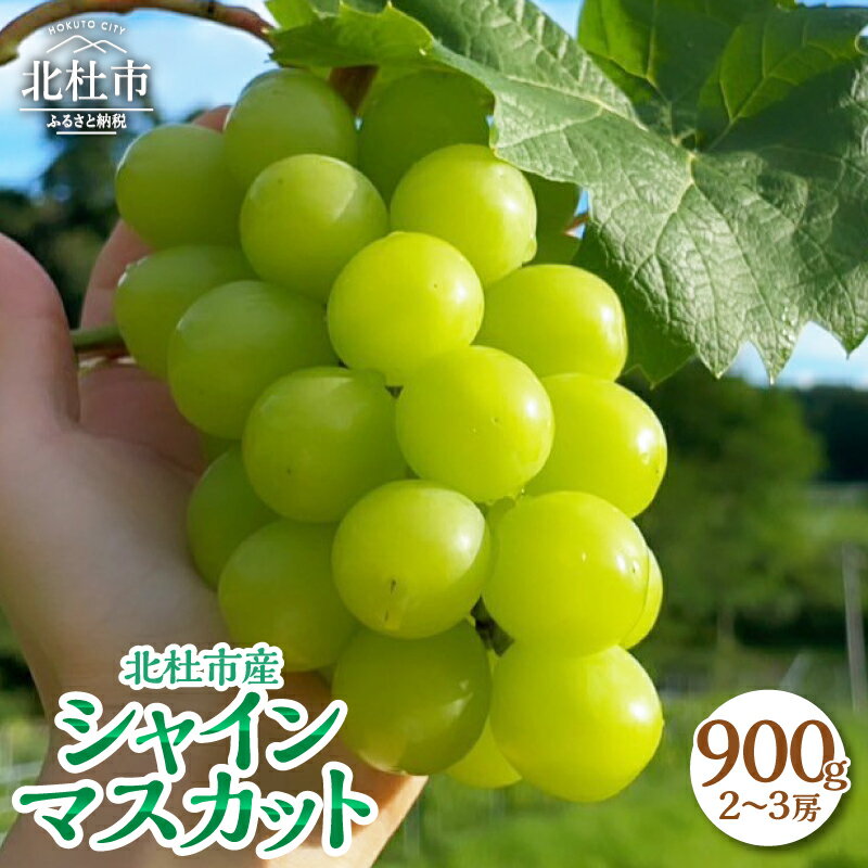 【ふるさと納税】 シャインマスカット 900g 2～3房 山梨 数量限定 期間限定 フルーツ 2026年発送 先行予約 ぶどう ブドウ 葡萄 瑞々しい ジューシー 北杜市産 果物 マスカット お取り寄せ 送料無料