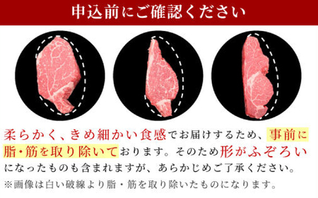 佐賀牛ヒレステーキ 3枚（計500g） / 牛肉 ブランド牛 / 佐賀県 / 佐嘉ZEYTAKUYA（豚八）[41AQAA022]