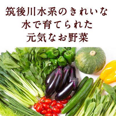 ふるさと納税 うきは市 【月イチ定期便】UIC 名水うきはの無農薬減農薬お野菜セット (ひと月1箱×半年間=計6回) |  | 02