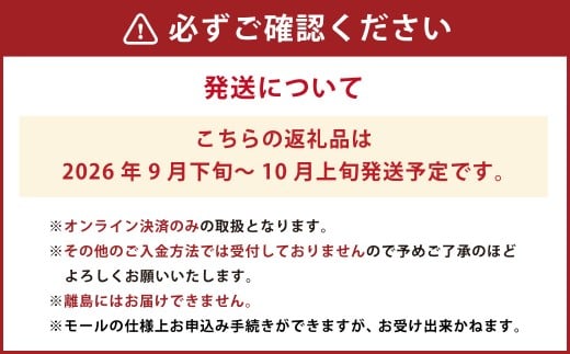 岡山県産新高梨 4～6玉 約3kg【2026年9月下旬～10月上旬まで発送予定】【なし 梨 高梨 フルーツ 人気フルーツ おすすめフルーツ 岡山県 倉敷市】