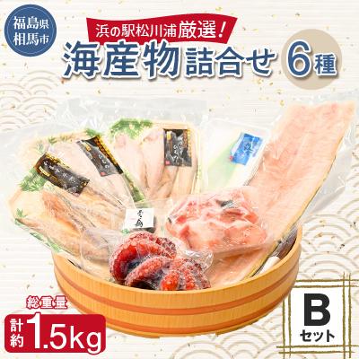 ふるさと納税 相馬市 浜の駅松川浦厳選!海産物詰合せBセット
