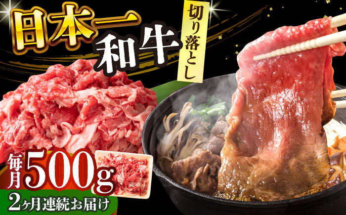 
【全2回定期便】【A4～A5】長崎和牛切り落とし　500g【株式会社 MEAT PLUS】 [DBS049]
