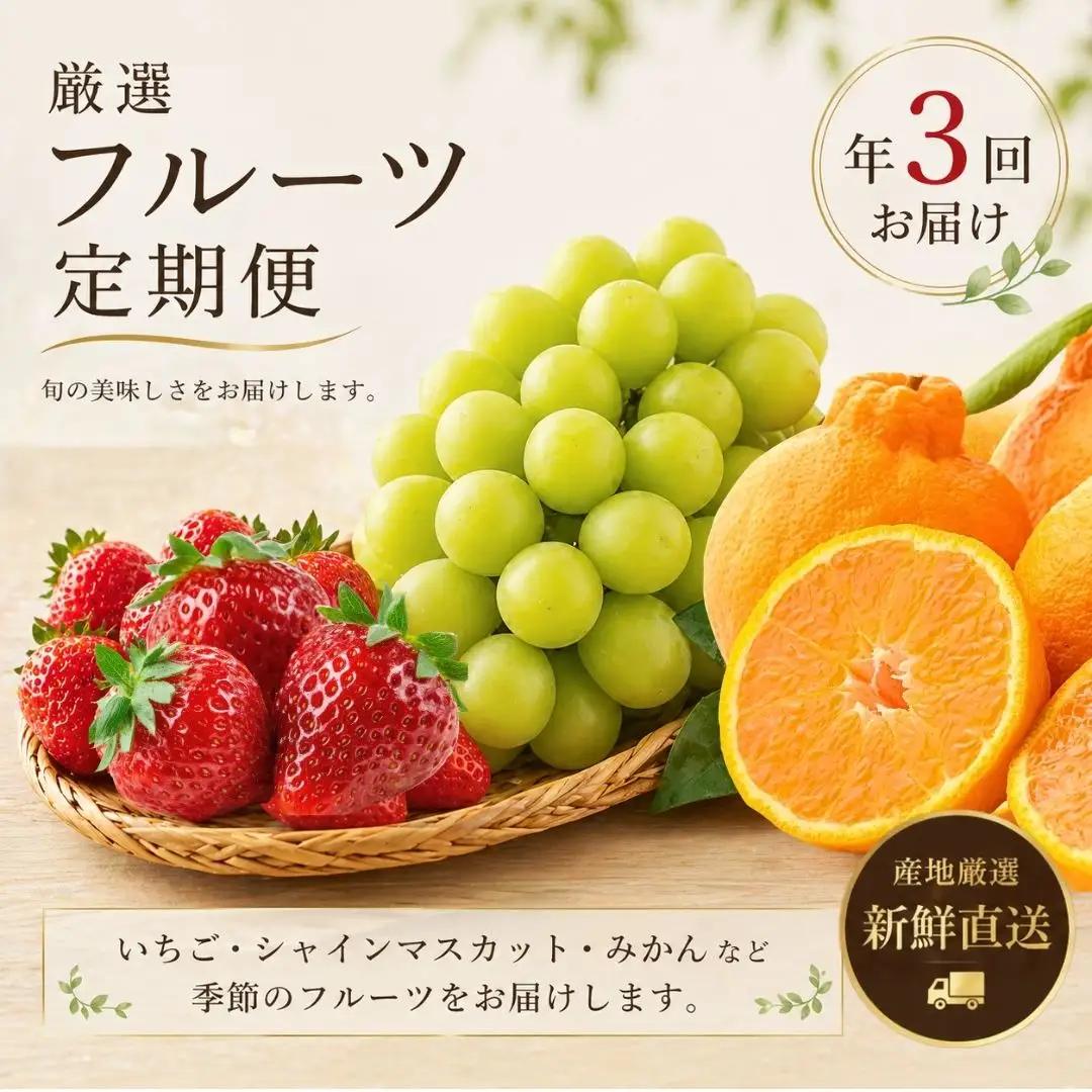 フルーツ食べ比べ 旬のフルーツ定期便 3回