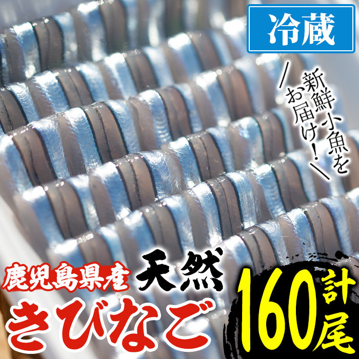 鹿児島県阿久根産 天然きびなごのお刺身(計160尾・40尾×4パック)国産 魚介 魚貝 海産物 鮮魚 冷蔵配送 キビナゴ 海鮮丼 食品 セット 詰め合わせ 水産加工品【濱崎魚類】akn023-02