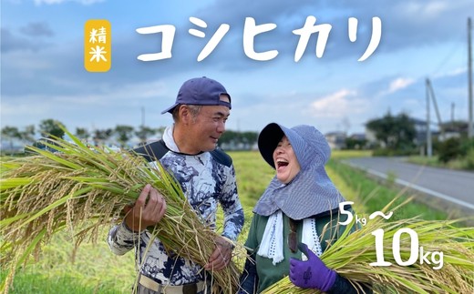 
            【令和7年産 新米先行予約】たきちゃん農場のコシヒカリ 精米 選べる容量 5kg 10kg
          