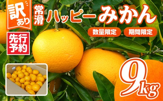 【先行予約】【訳あり】常滑ハッピーみかん 9kg｜常滑ハッピーみかん 果物 みかん フルーツ ミカン 訳あり 数量限定 期間限定 愛知県 常滑市 知多半島
