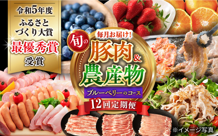 【12回定期便】豚肉＆旬の農産物 ブルーベリーコース（ 豚肉 いちご ハムセット 野菜 果物 ブルーベリー みかん お米 ）/ ロース モモ バラ イチゴ 苺 やさい くだもの フルーツ ふるーつ ロースハム ウインナー ソーセージ フランク ぶるーべりー 蜜柑 ミカン コメ こめ 米 定期便 / 大村市 / おおむら夢ファームシュシュ[ACAA124]