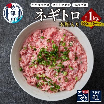 ふるさと納税 焼津市 本鮪入り ネギトロ 100g x 10パック 合計1.0kg(a13-107)
