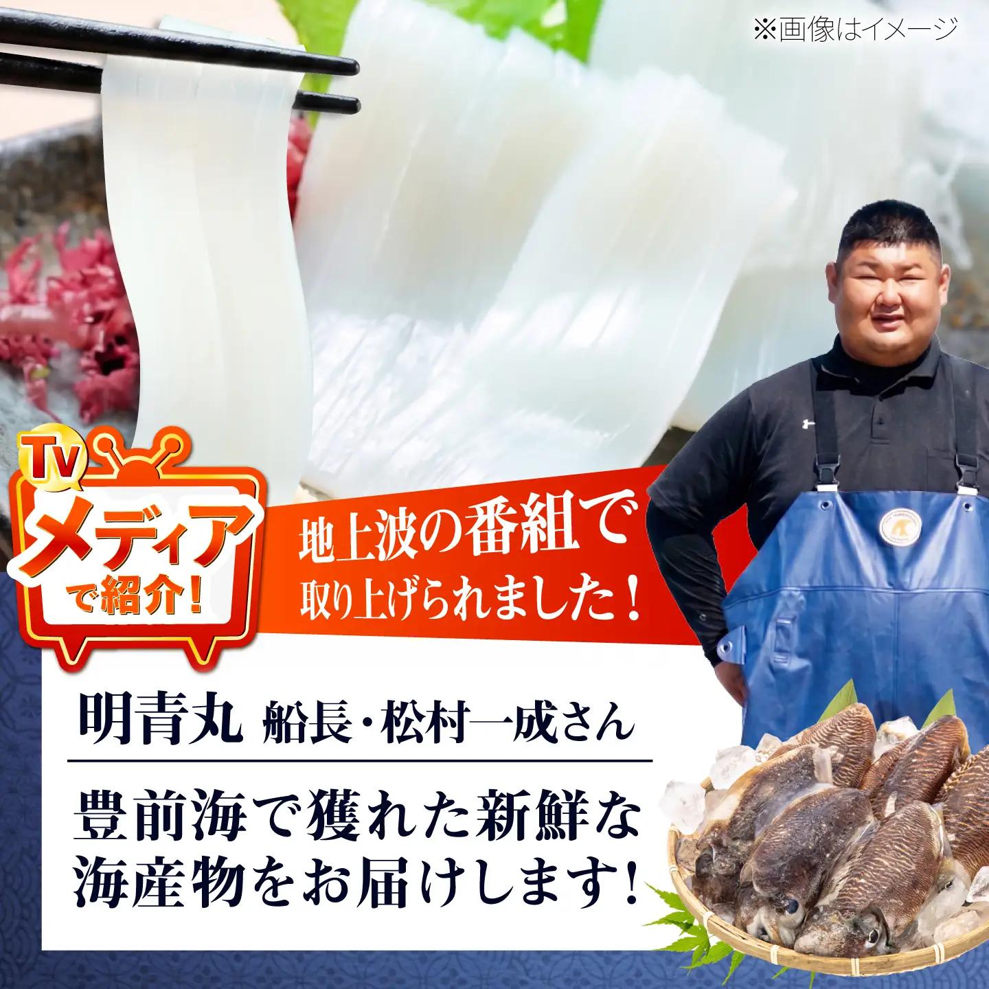 築上町で捕れた コウイカ 約3kg (7～15杯)《築上町》【明青丸】 いか イカ 海鮮 おつまみ 新鮮 海鮮丼 刺し身[ABCB008]