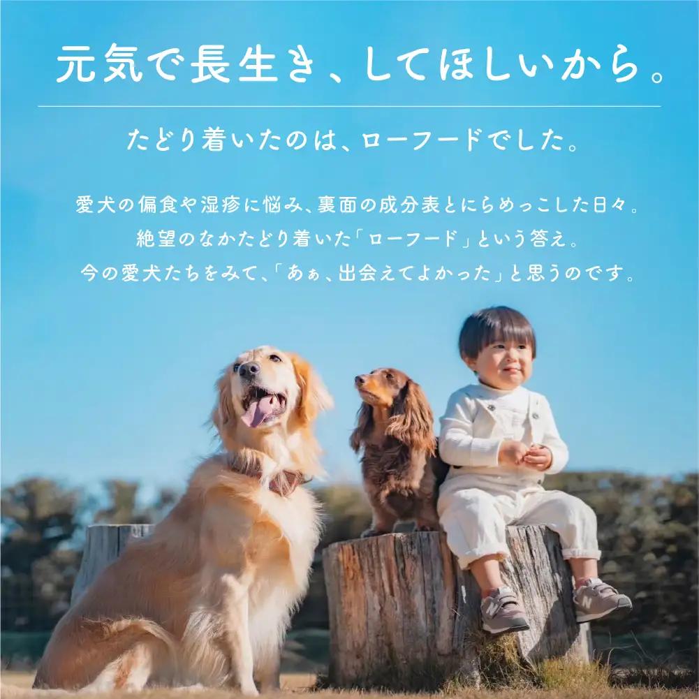 犬猫用手作りローフード（錦爽どりミックス500g+鹿骨ボーンブロス300ml）