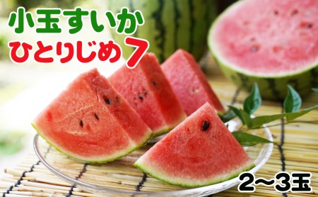 和歌山産小玉すいか ひとりじめ7(2～3玉)