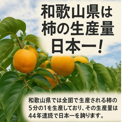 柳フルーツ園の干し柿セット 約2kg