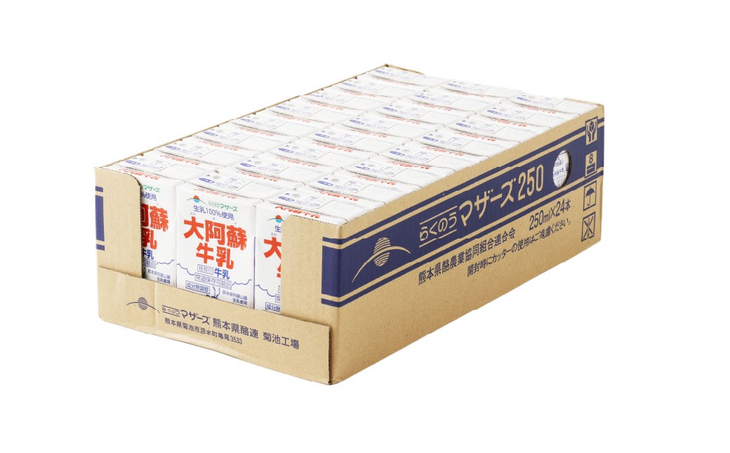 大阿蘇牛乳 250ml×24個入（1箱）