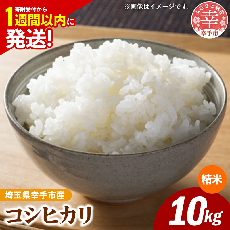 【ふるさと納税】令和6年産 幸手市産 コシヒカリ 白米10kg 色彩選別済 White Rice- お米 米 こしひかり 精米 10kg 埼玉県 幸手市【価格改定】