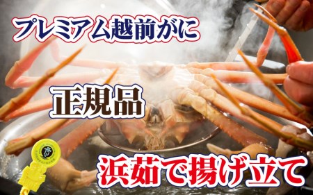 越前がに本場の越前町からお届け！誉れ高き越前がに「皇室献上級」浜茹で×1杯 桐箱入り！【かに カニ 蟹】【3月発送分】 [e37-x011_03b] 福井県 雄 ズワイガニ ボイル 冷蔵 越前がに 越