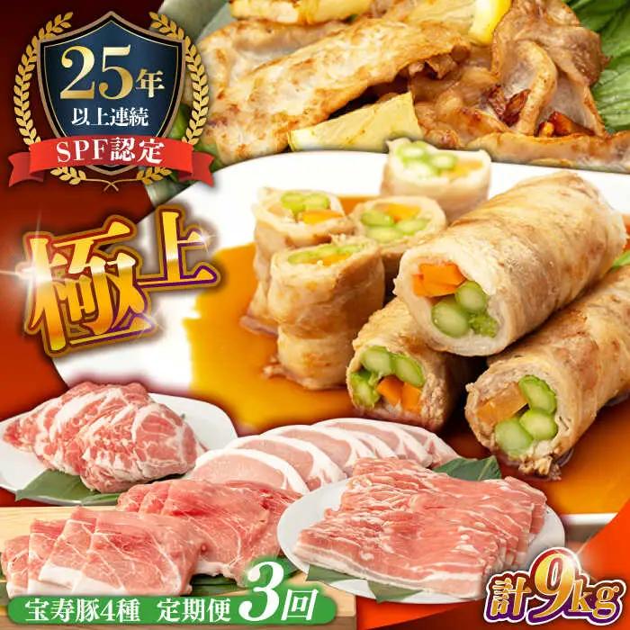 【3回定期便】SPF豚 やっちゃおいしか芳寿豚バラエティセット 計3000g / 豚肉 定期便 ほうじゅとん SPF豚 spfポーク 小分け バラ しゃぶしゃぶ / 南島原市 / 芳寿牧場 [SEI020]
