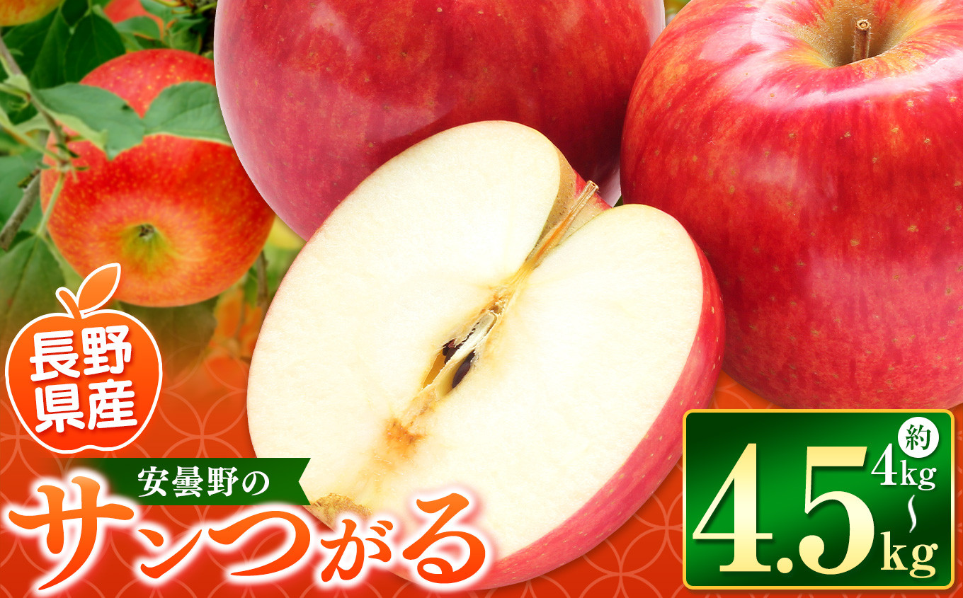 
            *【2025年先行予約】東印平林農園 サンつがる 約4kg～4.5kg ｜ リンゴ りんご 林檎 果物 くだもの フルーツ 果実 果汁サンつがる さんつがる エコファーマー 長野県 松川村 信州
          
