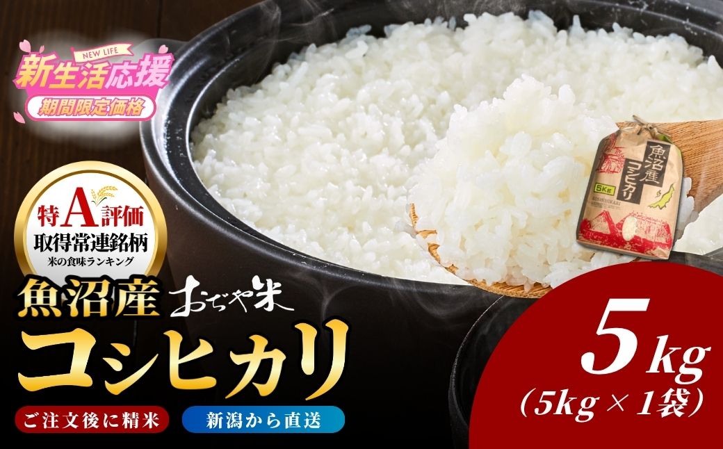 令和7年産 魚沼産コシヒカリ5kg【クラフト袋入り】JA魚沼