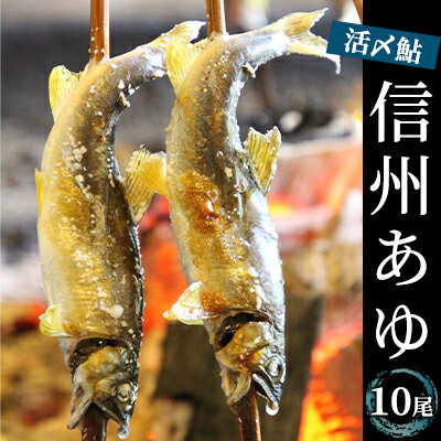 【ふるさと納税】生産者直送「信州あゆ」冷凍10尾入り 長野 上田市　お届け：2025年5月下旬～9月下旬頃