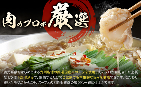 もつ鍋 セット 薬味付き ちゃんぽん麵 兆や 2～3人前 味噌味 地域商社ふるさぽ《90日以内に出荷予定(土日祝除く)》福岡県 鞍手郡 小竹町 もつ 鍋 牛モツ