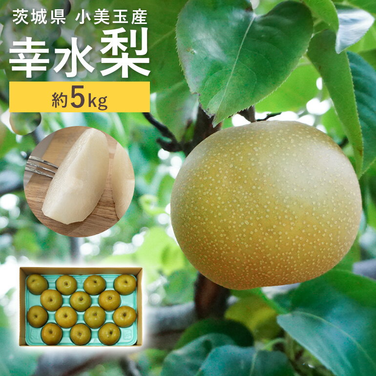 【ふるさと納税】 数量限定 2025年 先行予約 夏季限定 梨（幸水） 約5kg なし ナシ 日本梨 こうすい コウスイ 甘い ジューシー みずみずしい 【8月中旬〜下旬発送予定】 17-C