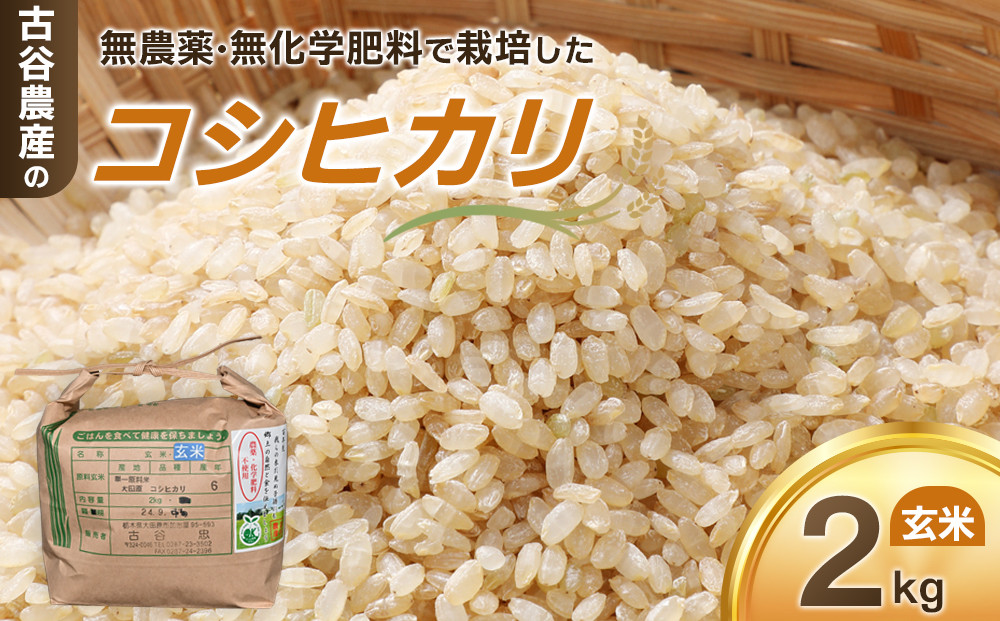 【令和7年産米 数量限定】古谷農産の無農薬・無化学肥料で栽培したコシヒカリ（玄米2キロ） ｜米 コメ  2kgコシヒカリ こしひかり 農家直送 産地直送 産直