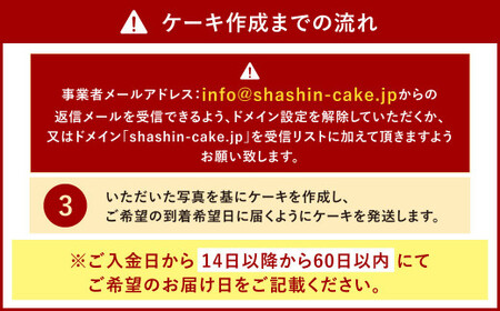 【生クリーム】サプライズに最適！ 写真ケーキ 3～6人用 5号サイズ